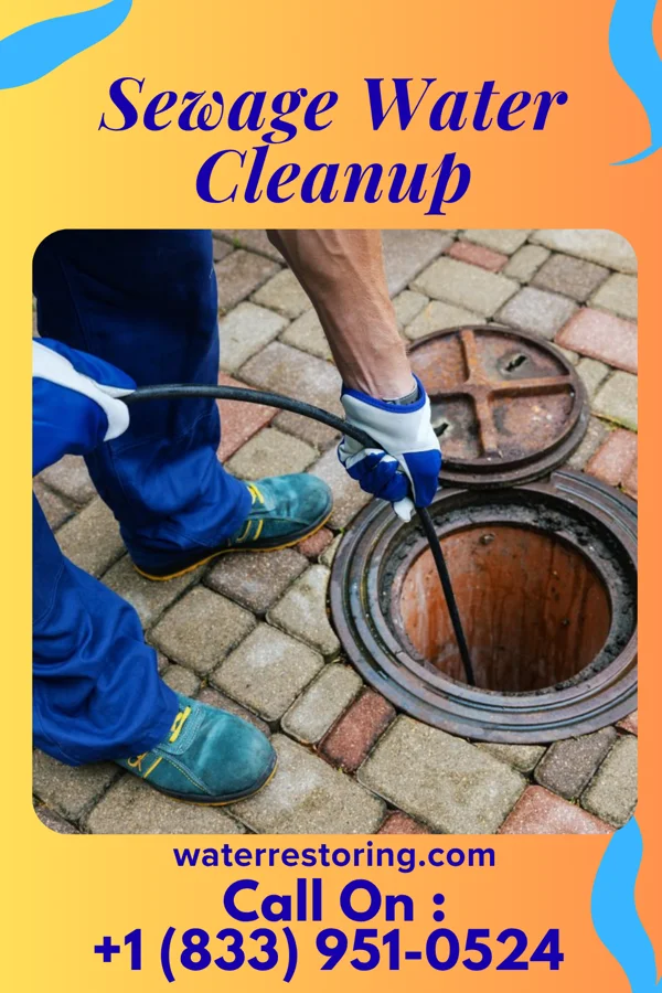 Sewage Water Cleanup in Brandon, IA